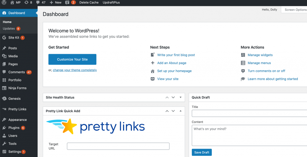 wordpress dashboard overview