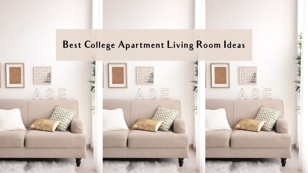 college apartment decorating ideas on a budget